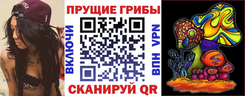 Псилоцибиновые грибы Magic Shrooms  это состав  Лодейное Поле  купить наркоту 