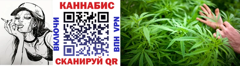 Конопля семена  магазин продажи наркотиков  Лодейное Поле 